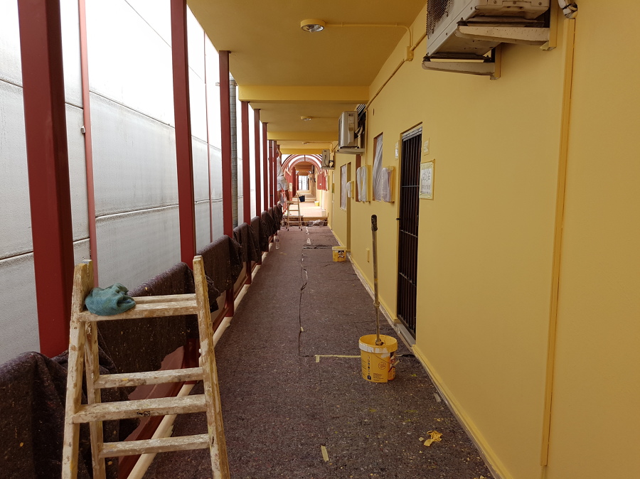 pintura zunas comunes