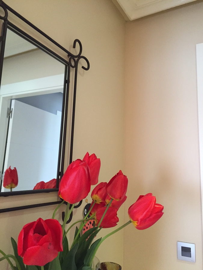 Pinturas que resaltan la decoración