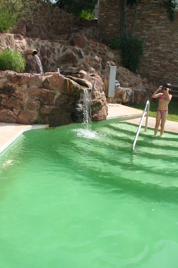 Piscina ecologica