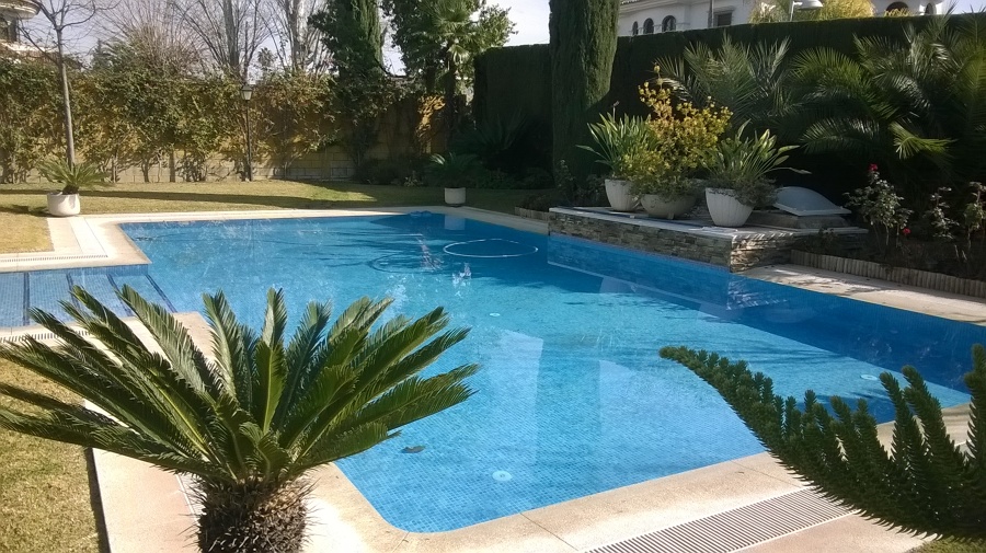 Piscina y jardín.