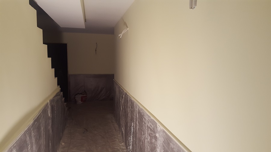 Pitura de paramnetos en pintura plastica