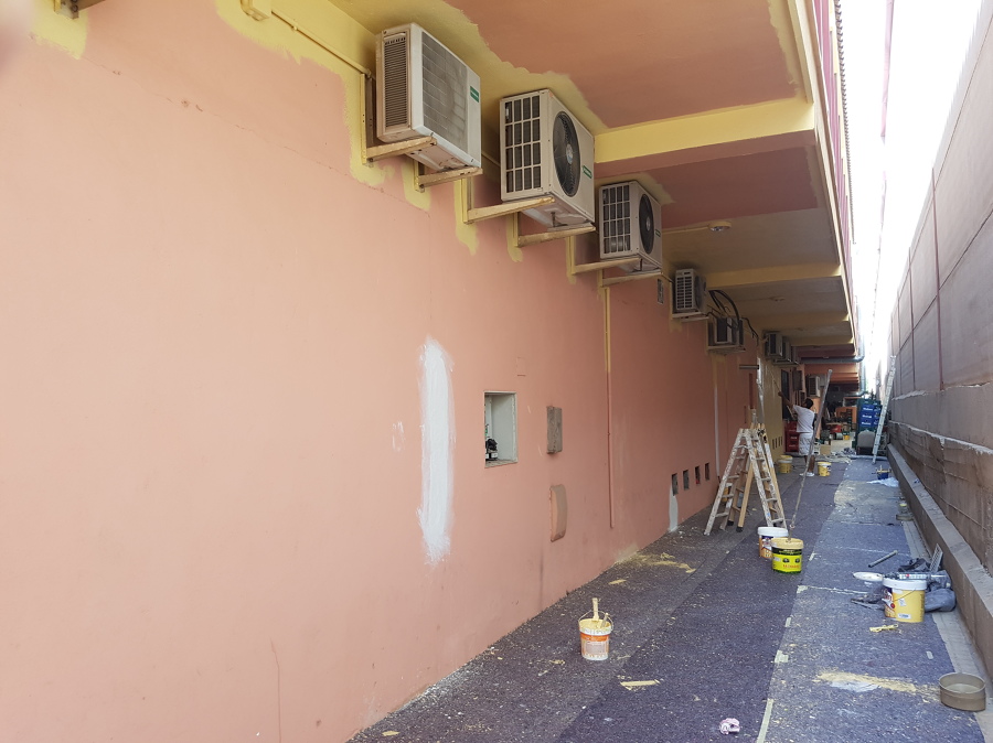 pitura patios traseros