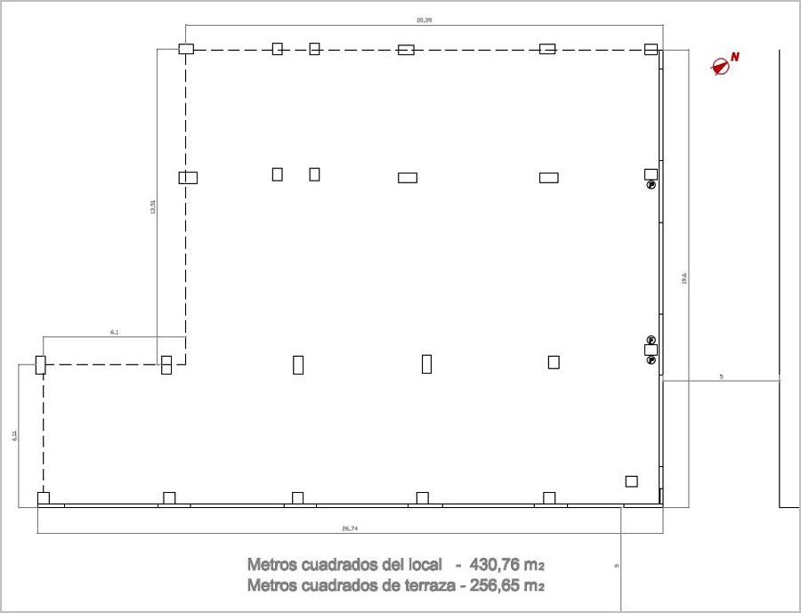 Planta estado actual