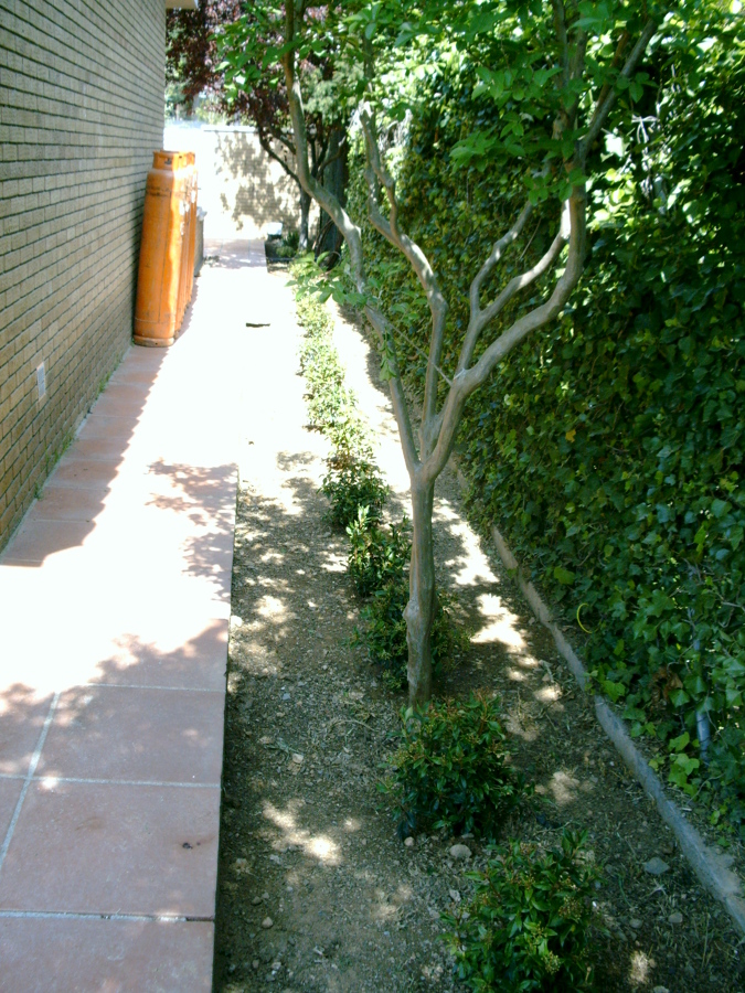 Plantación jardineras y zonas arbustias