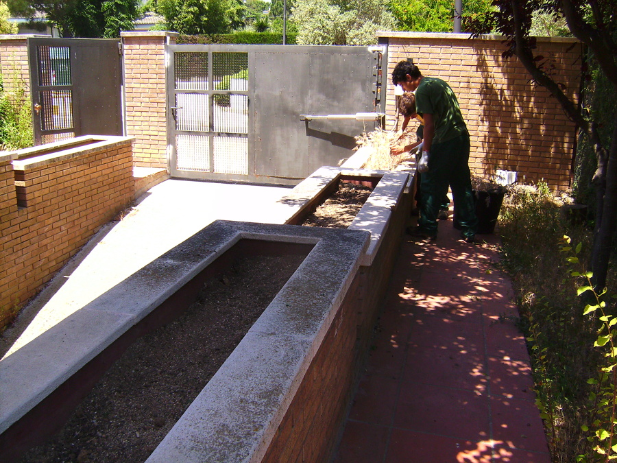 Plantación jardineras y zonas arbustias