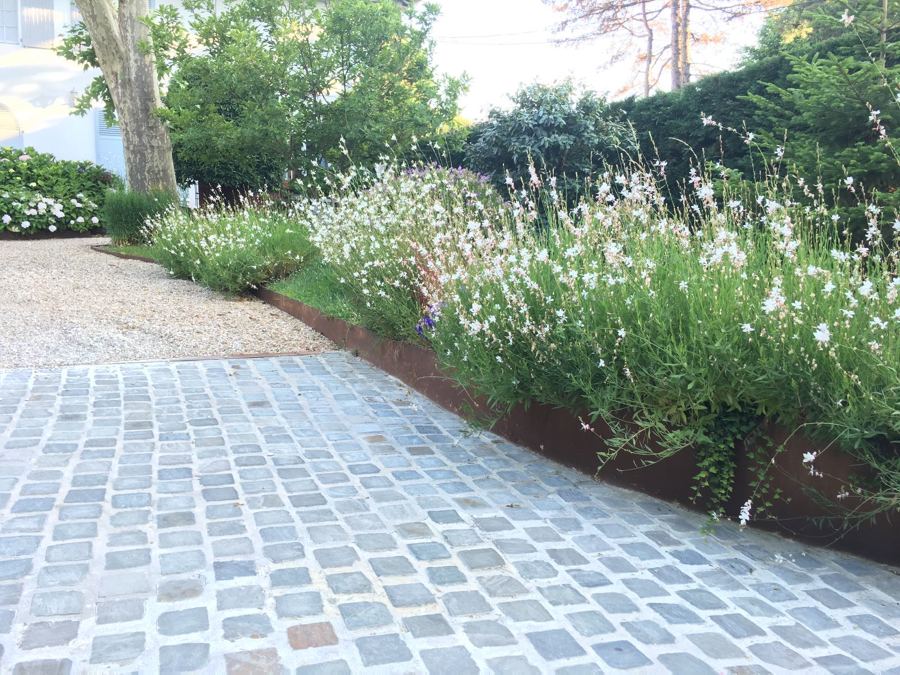 Plantación rampa parking