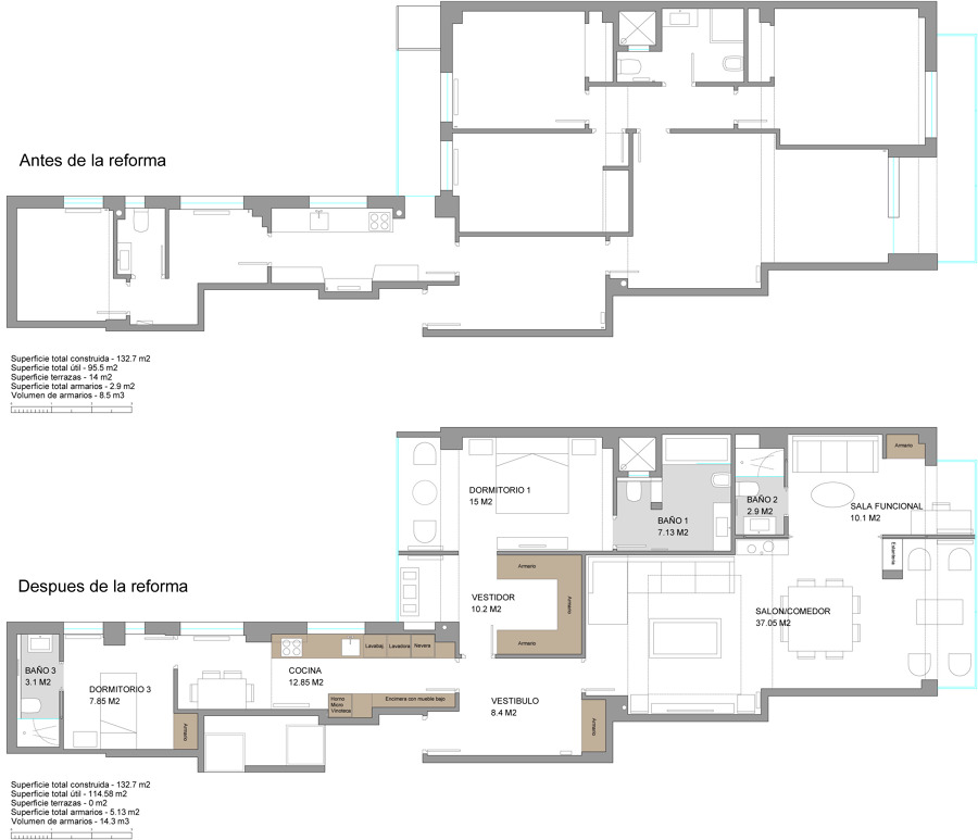 Plantas antes y despues