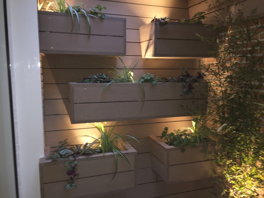 Plantas colgantes y Bambú negro.