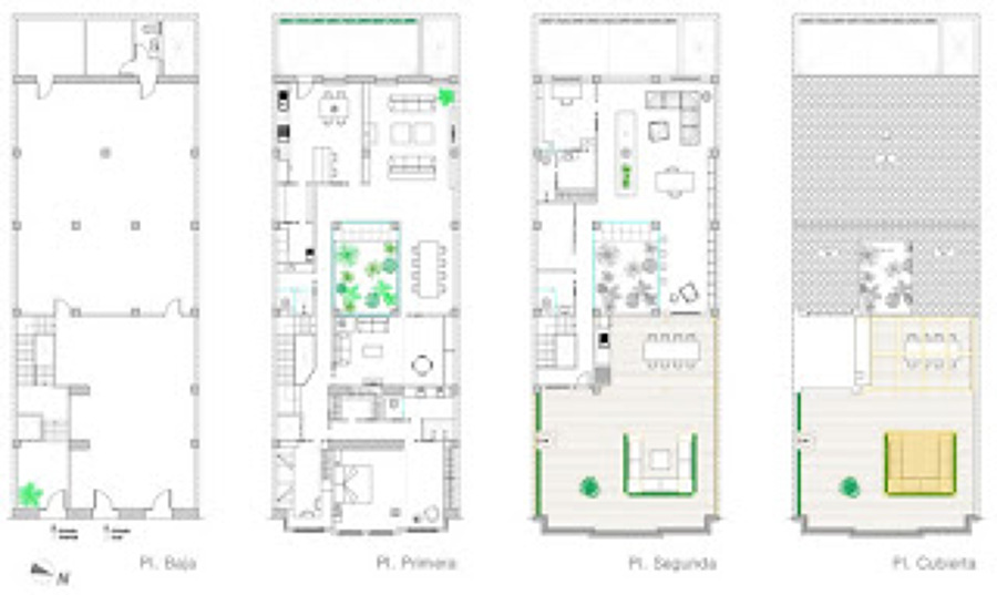 Plantas nueva distribución