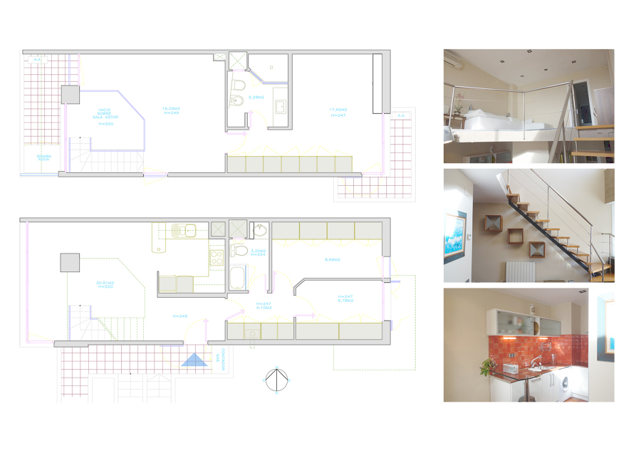 Plantas y fotografía de estado original