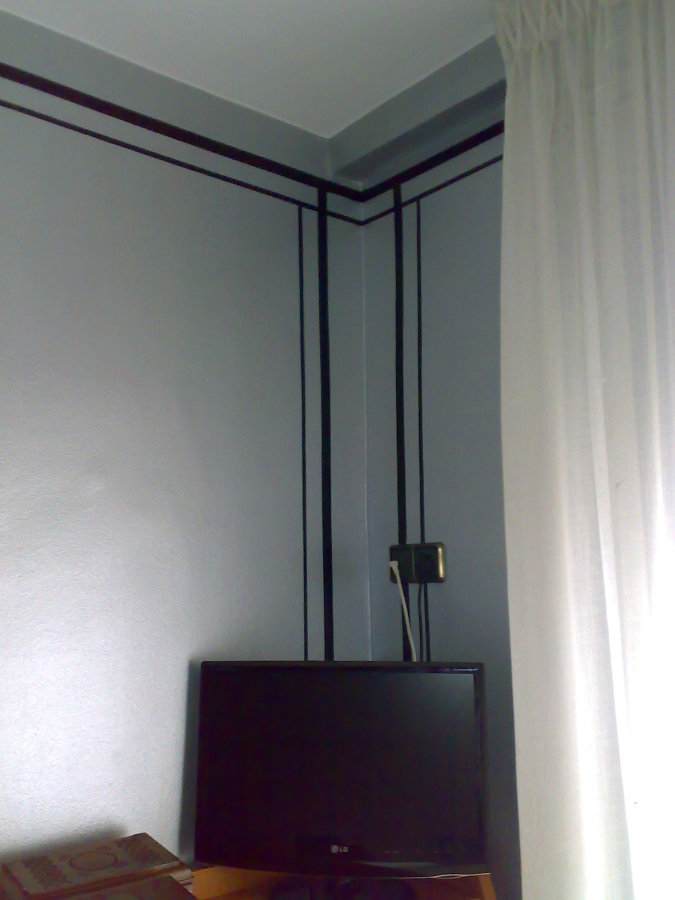 PLATEADO CON RAYAS NEGRAS