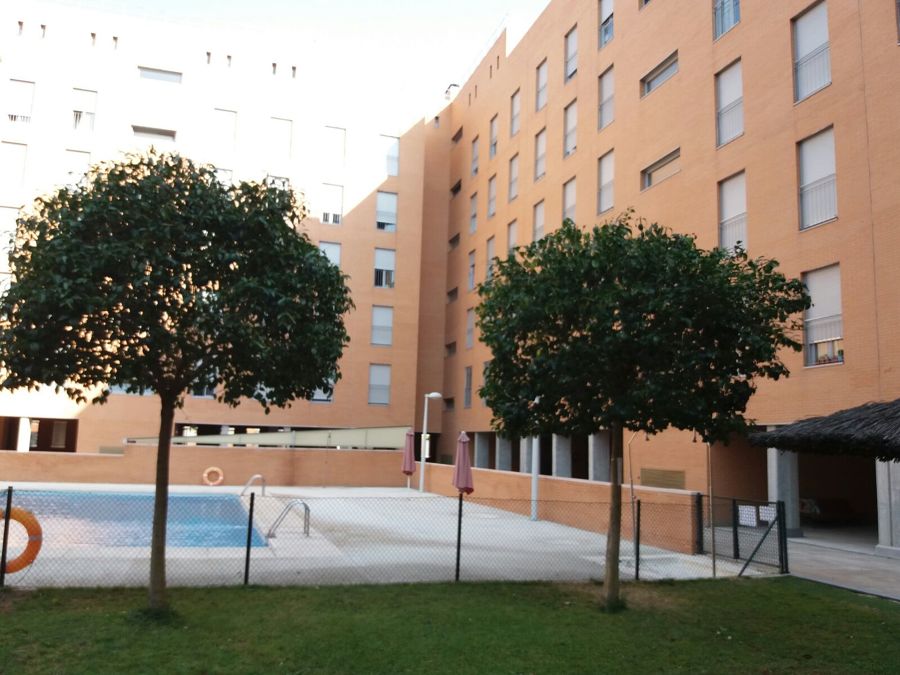 Poda de árboles, terminada