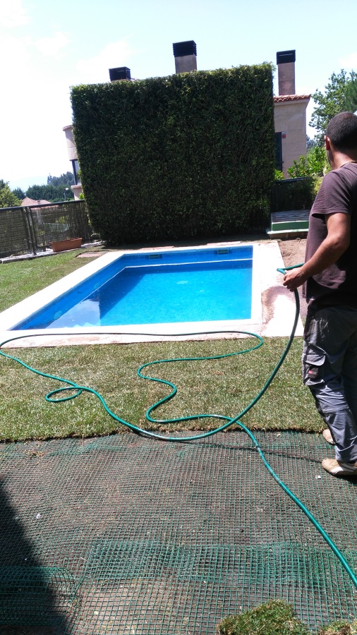 Poda de formacion seto