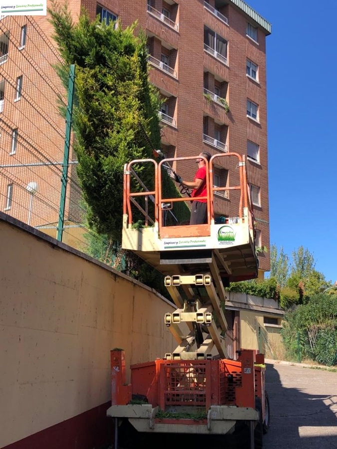 Poda en altura