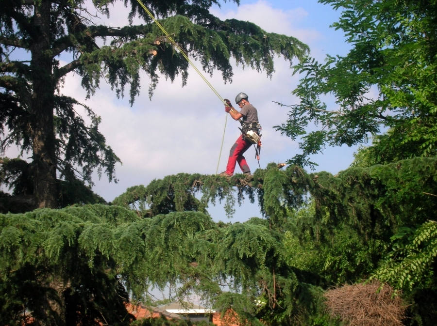 PODAS DIPUTACION DE BARCELONA