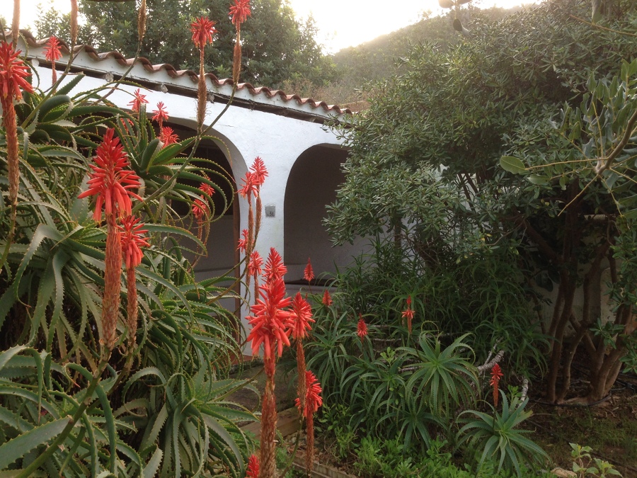 Porchada a reformar con derribo de columnas jacena de obra y eliminar tejas