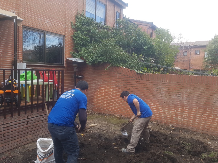 Preparación del terreno
