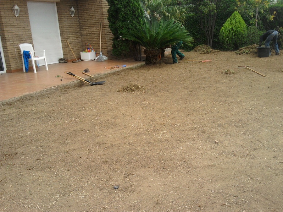 Preparación del terreno