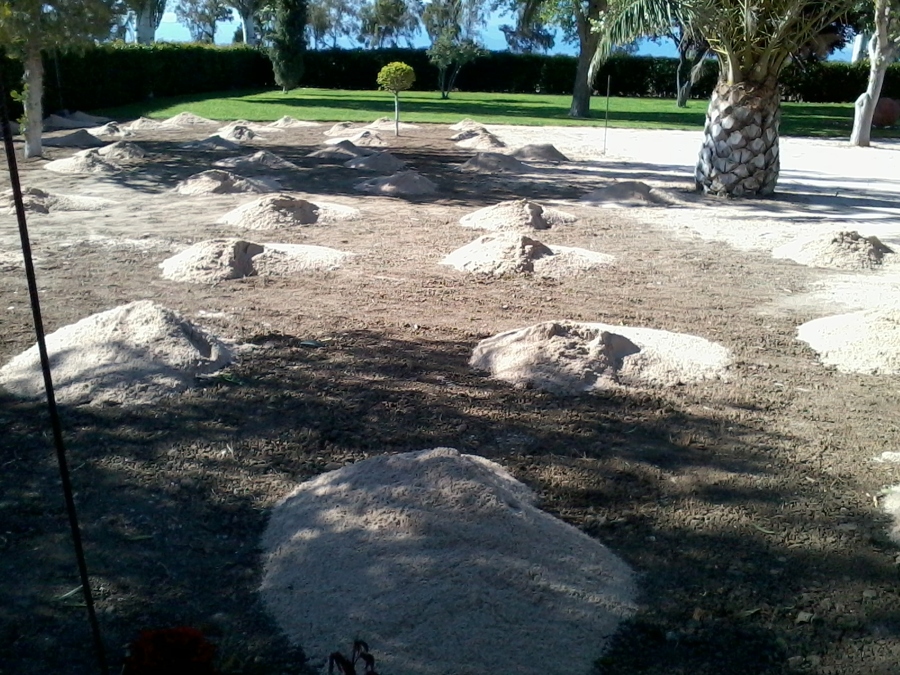 preparación terreno colocación cesped