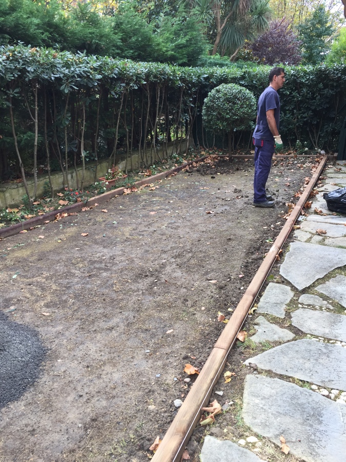 Preparando el terreno