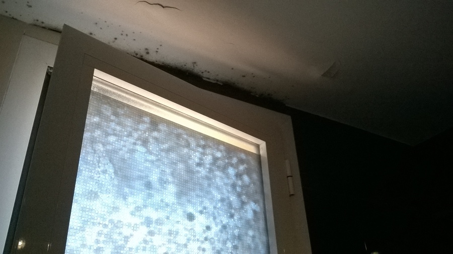 Problemas de moho en baño por condensación.