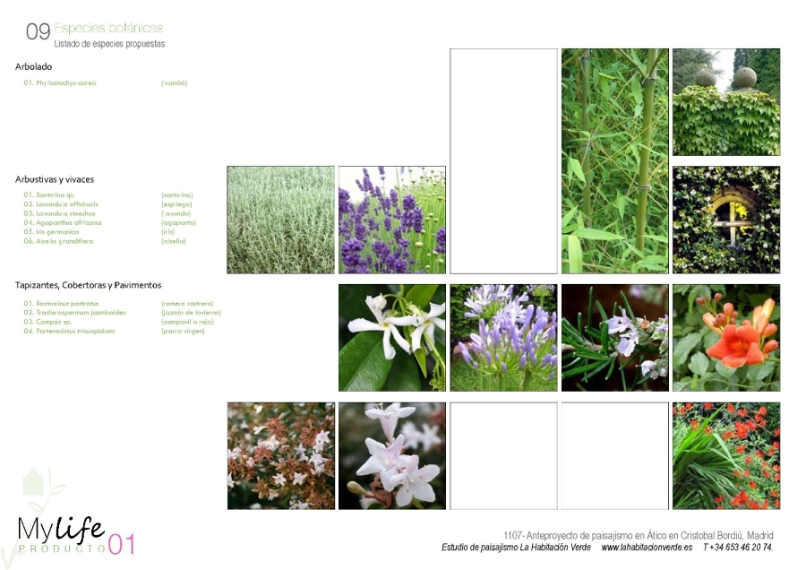 Propuesta de diseño de jardín en ático.