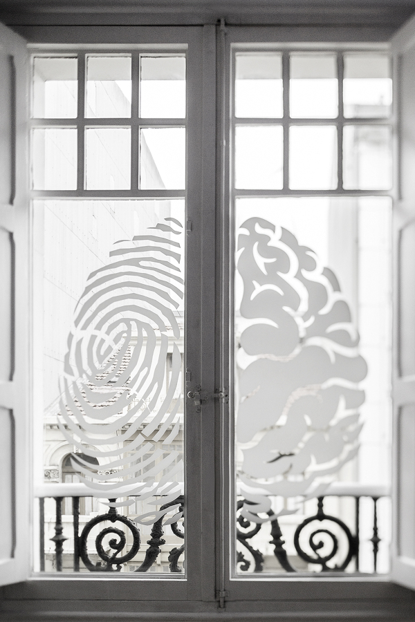 Proxectos F1-Neurozona