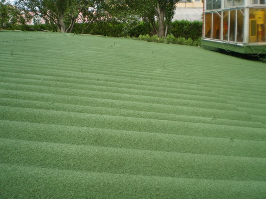 Proyeccion de corcho