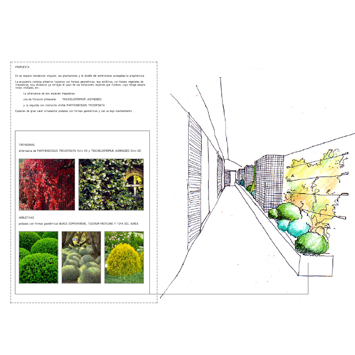 Proyecto de diseño de jardín en atico