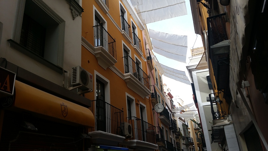 PROYECTO DE MEDIOS AUXILIARES