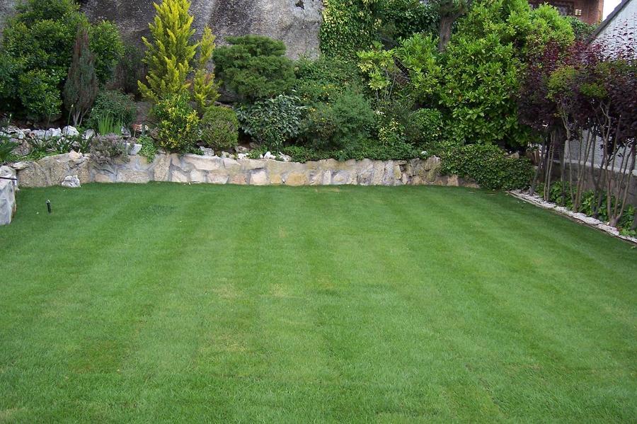 Proyecto de nuevo Jardín en Torrelodones