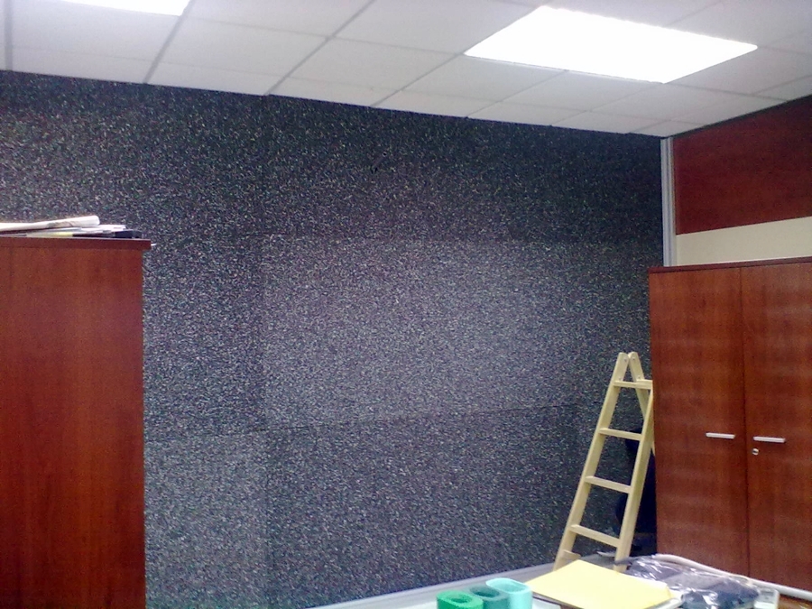 Proyecto: Insonorización en División de oficina.