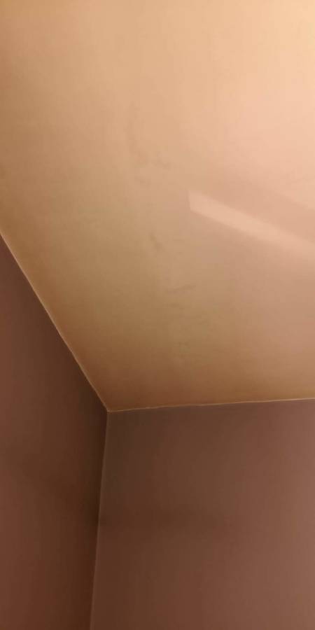 Proyecto reparación paredes dañadas por tabaco