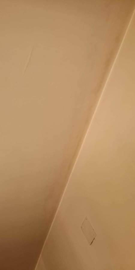 Proyecto reparación paredes dañadas por tabaco