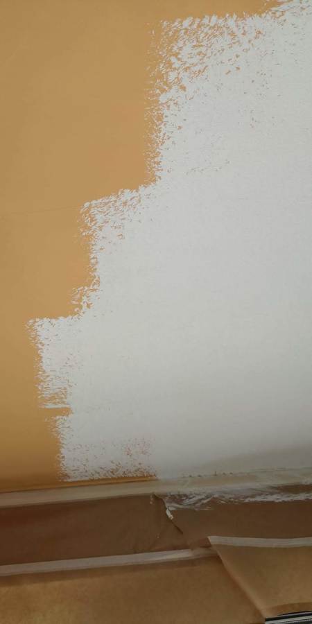 Proyecto reparación paredes dañadas por tabaco