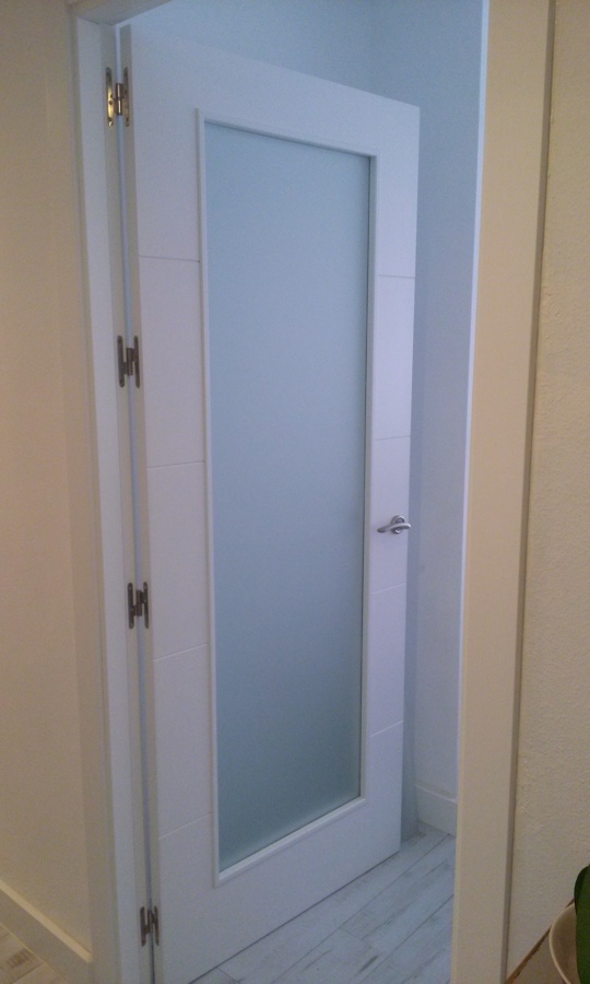 PUERTA ACRISTALADA SALON