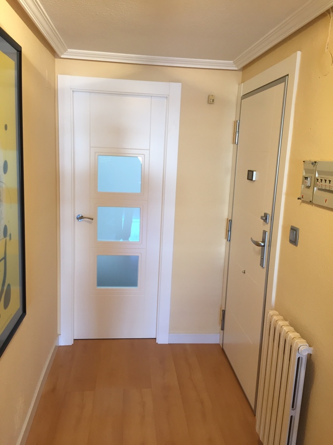 PUERTA COCINA LACADA