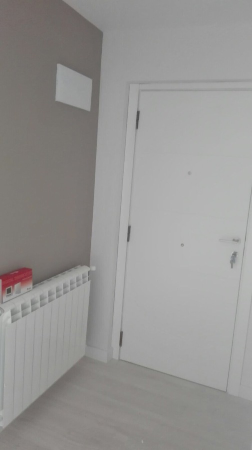 PUERTA DE ENTRADA LAMINADA