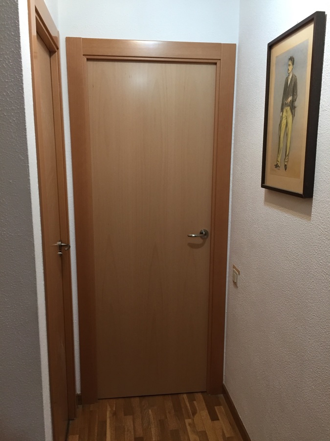 PUERTA DE HAYA MACIZA