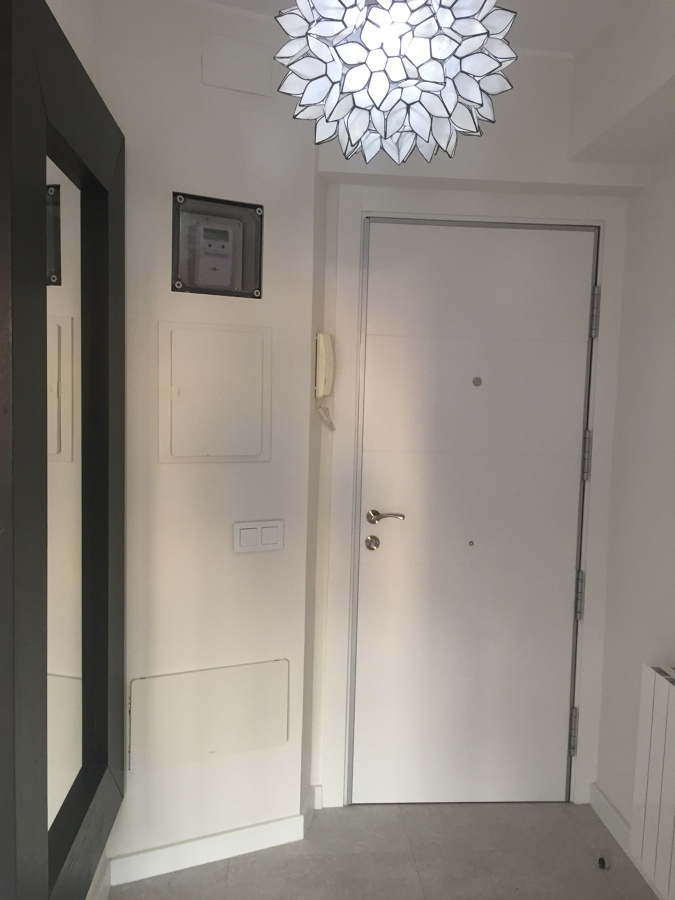 PUERTA DE SEGURIDAD PANELADA