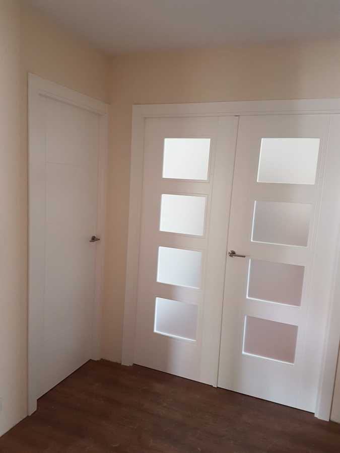 Puerta doble con cristal