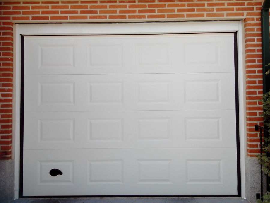 PUERTA SECCIONAL ACANALADA Y MOTORIZACION