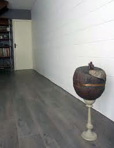 Puertas blancas en parquet gris