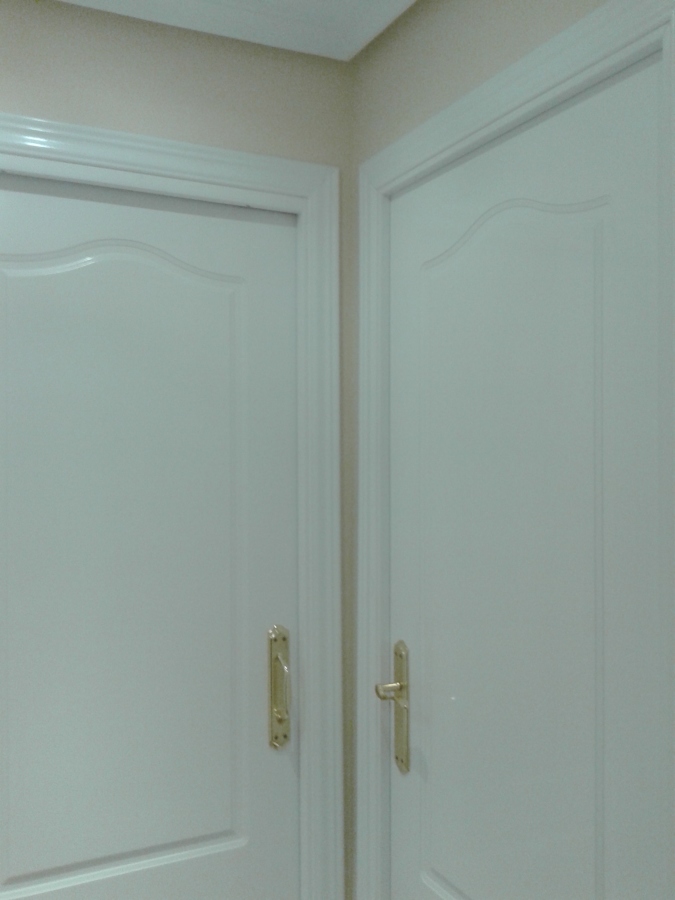 puertas de pasillo con manivela