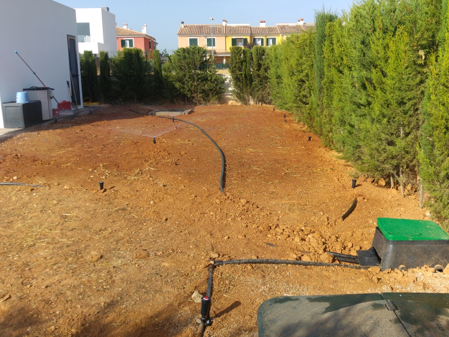 puesta en marcha del riego y fase de pruebas