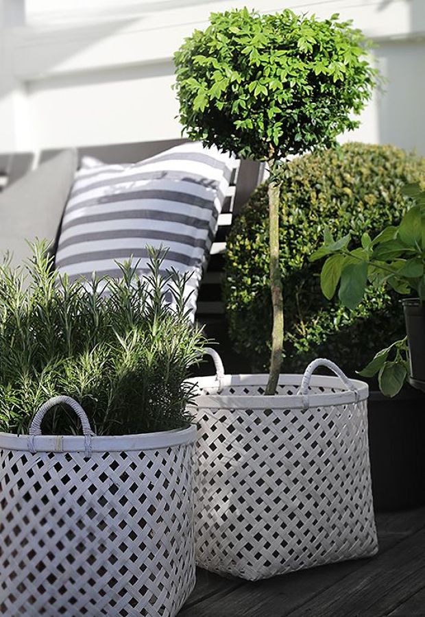 ¡Que no falte el toque verde!