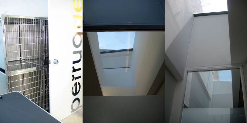 raddi ARQUITECTES, Clínica Veterinaria en planta baja. Lucernario.