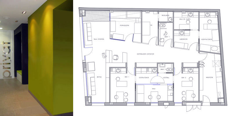 raddi ARQUITECTES, Clínica Veterinaria en planta baja. Planta.