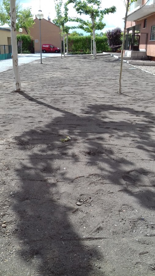 rastrillado y rulado