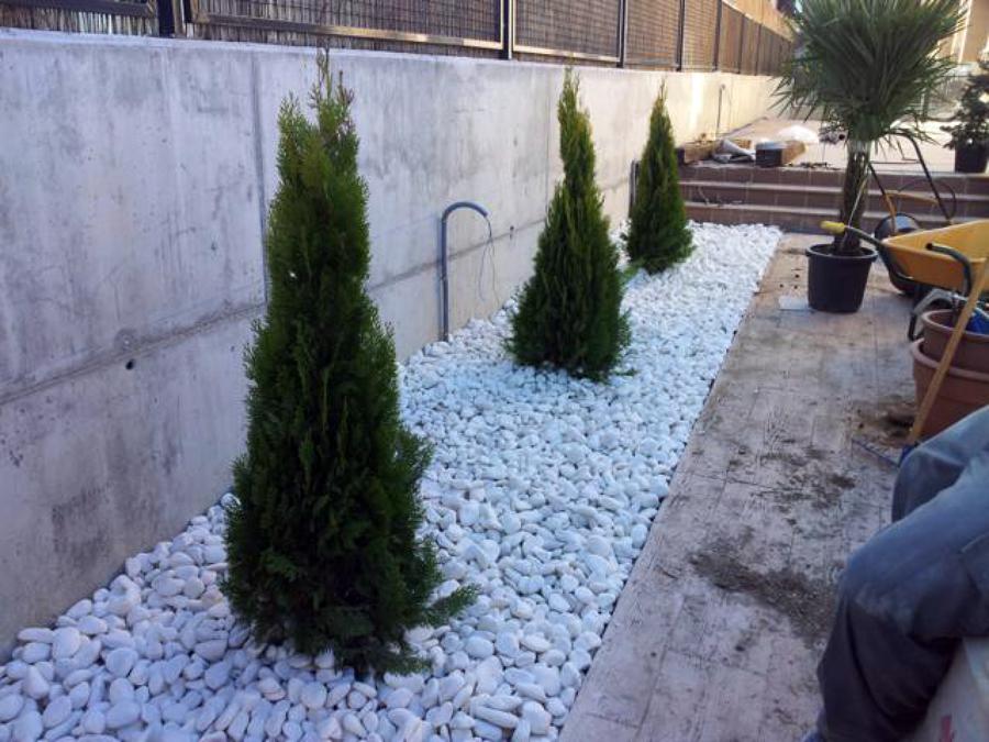 Realización de Jardines navalcarnero